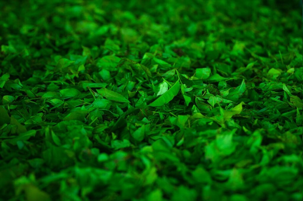 How to Boost Metabolism Naturally