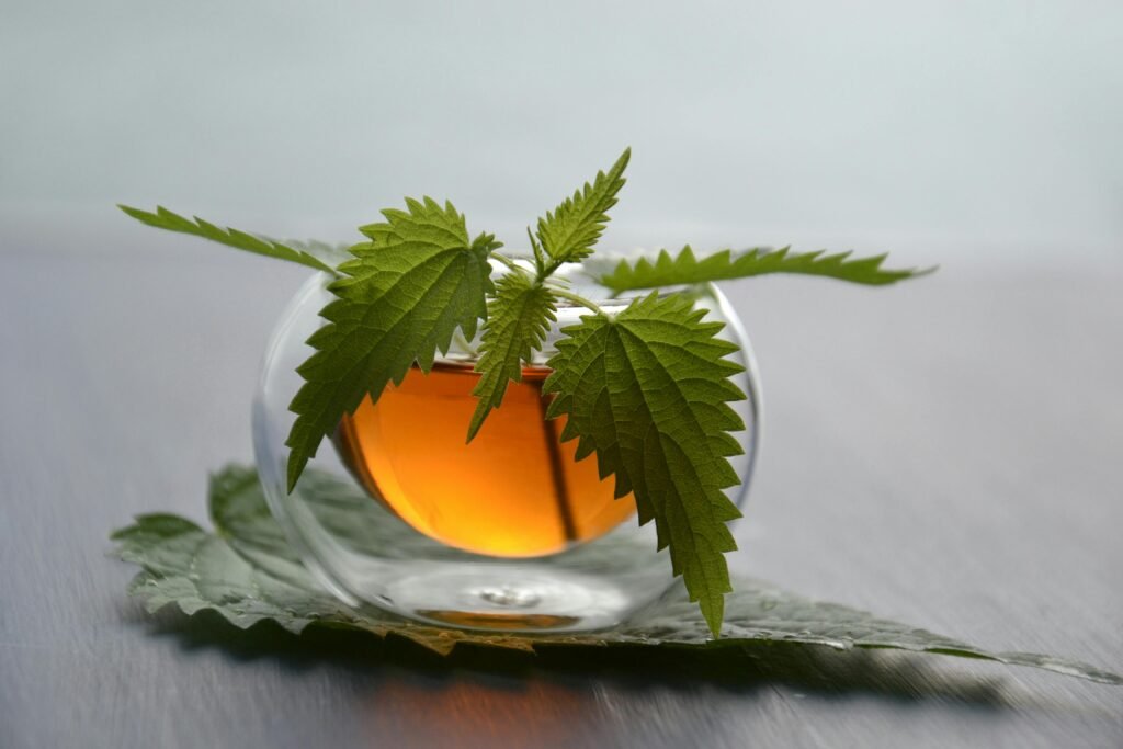 Best Herbal Teas for Health and Wellness