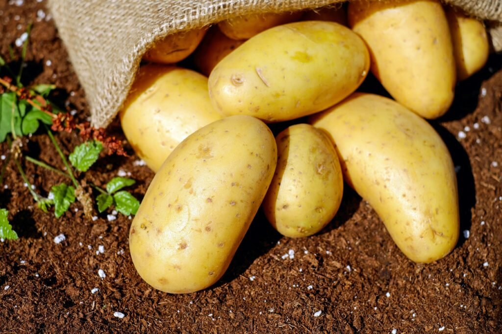 The Role of Fiber in a Healthy Diet