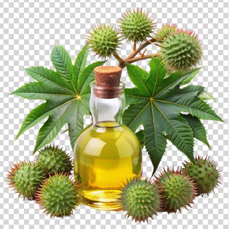 Castor Oil