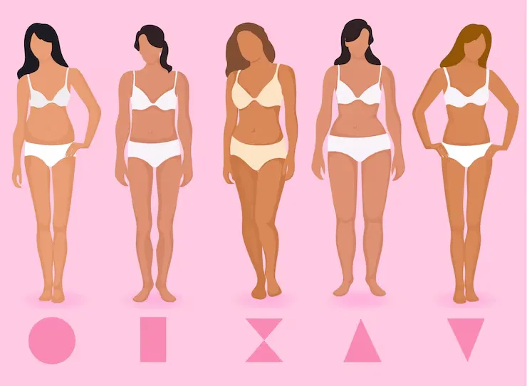 women's body types

