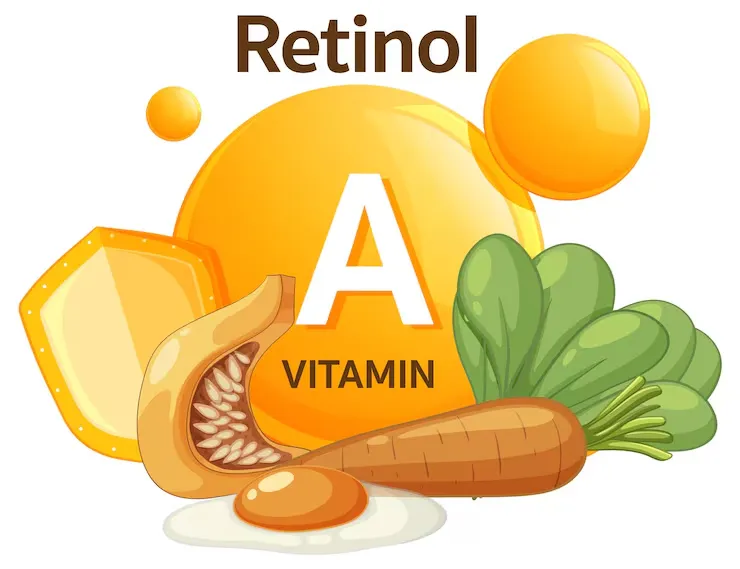 fat soluble vitamins

