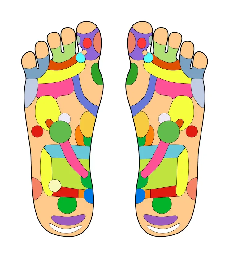 foot reflexology chart