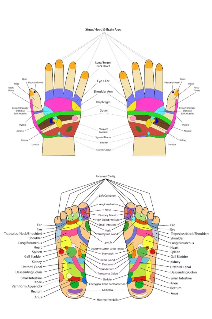 foot reflexology chart