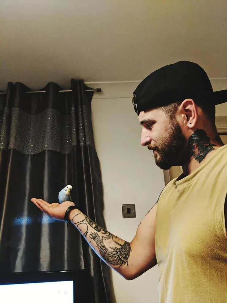 tattoo aftercare tattoo

